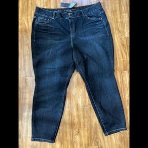 Lane Bryant Tighter Tummy Skinny Jean 24S